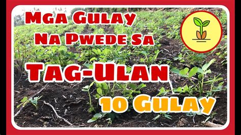 tumigas ang buong pilipinas dahil sa pasas|Top 10 UMG o Ulat na May Gulat sa taong 2021 .
